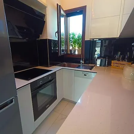 公寓 Inna Luxury In The Center 斯基亚索斯镇